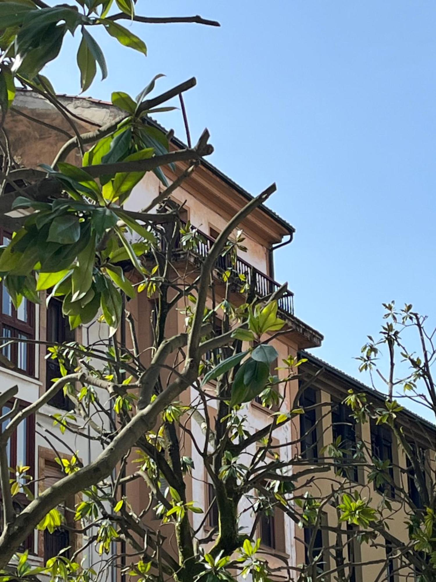 Apartamento Salsipuedes-La Catedral Овиедо Екстериор снимка